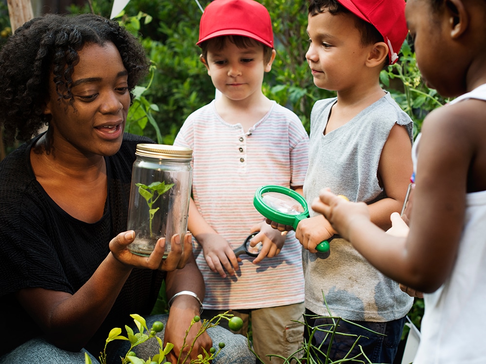 Fun Summer Learning With Expert Teachers